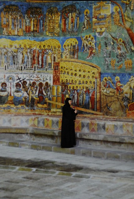 Bears Have Ousted Dracula – Is Romania’s New Attraction Taking Over?