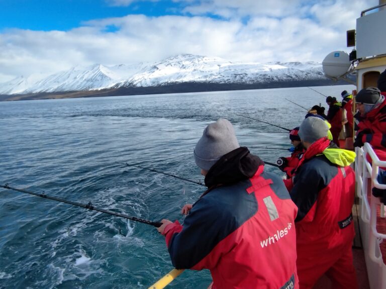 Winter incentive travel – from Lapland to Iceland